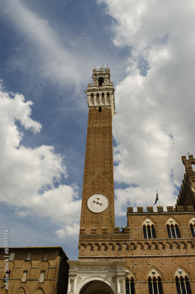 details historic buildings of Siena, the tower