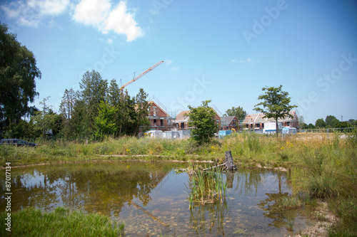 Ausgleichsfläche vor Neubaugebiet photo