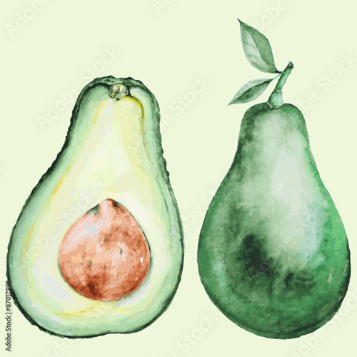 Watercolor avocado 