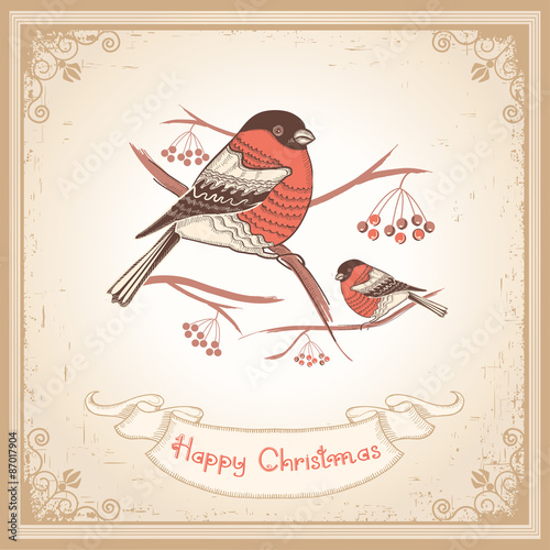 Vintage Christmas card with bullfinches and scroll for text.