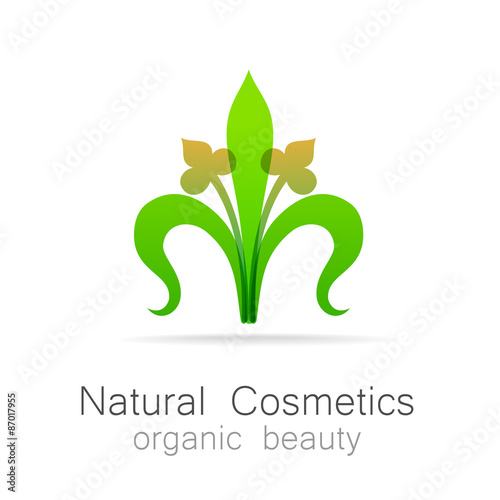 natural cosmetics