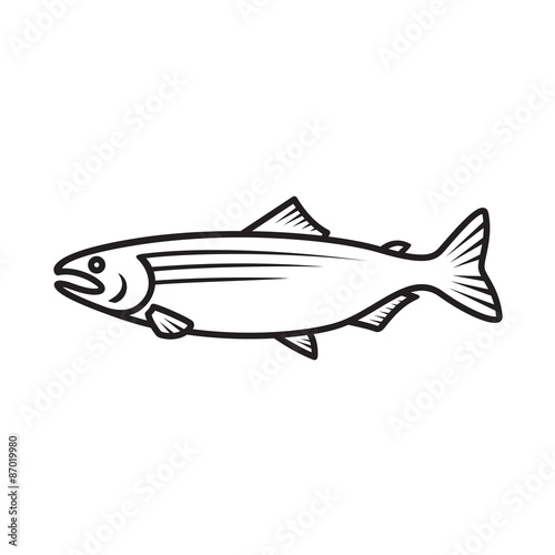 Salmon logo