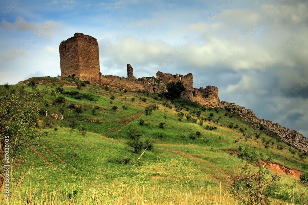 coltesti fortress