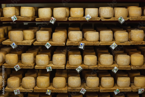 wheels of cheese in a maturing storehouse dairy cellar