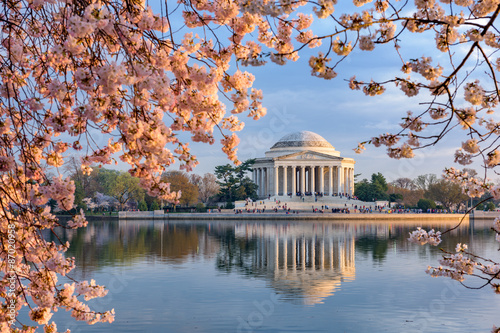 Washington DC in Spring