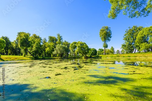 body of water in the park is overgrown mud