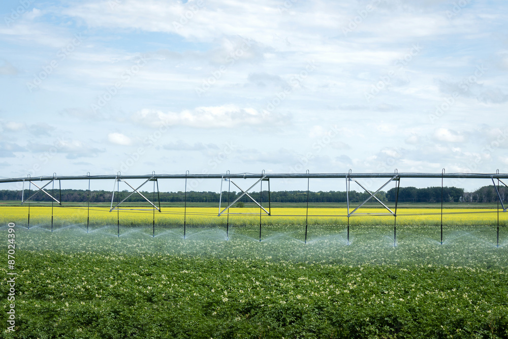 horizontal image of a water irrigation system sitting in the field watering the crop on farm land with a canola filled in the background under a blue cloud filled sky in summer time