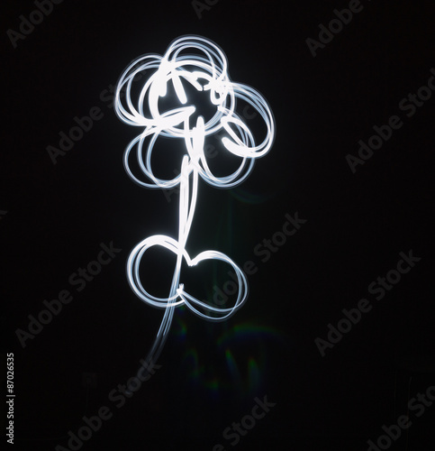 Large Flower Painted with Light