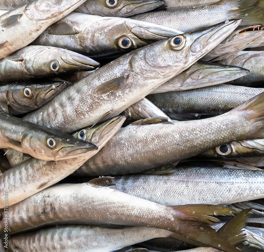 Obraz premium silver seafood