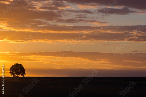 Landscape with orange sunset sky over filed and trees