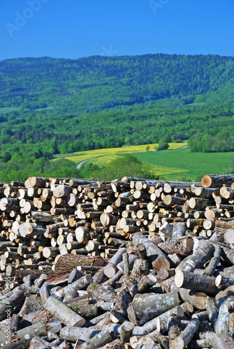 Wood piling up with green mountains background