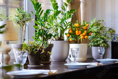 Empty glasses set in restaurant on floral background