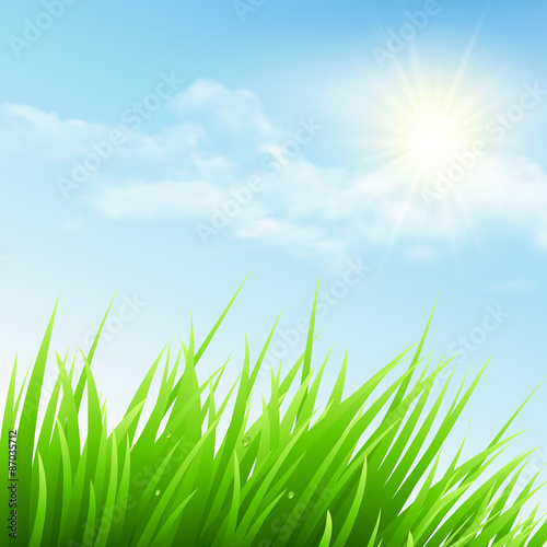Green grass and blue sky. Vector illustration
