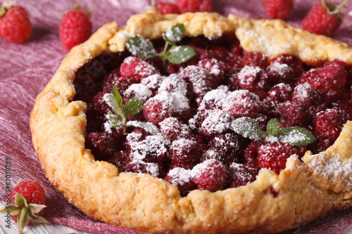 Fragrant homemade raspberry pie close-up. horizontal