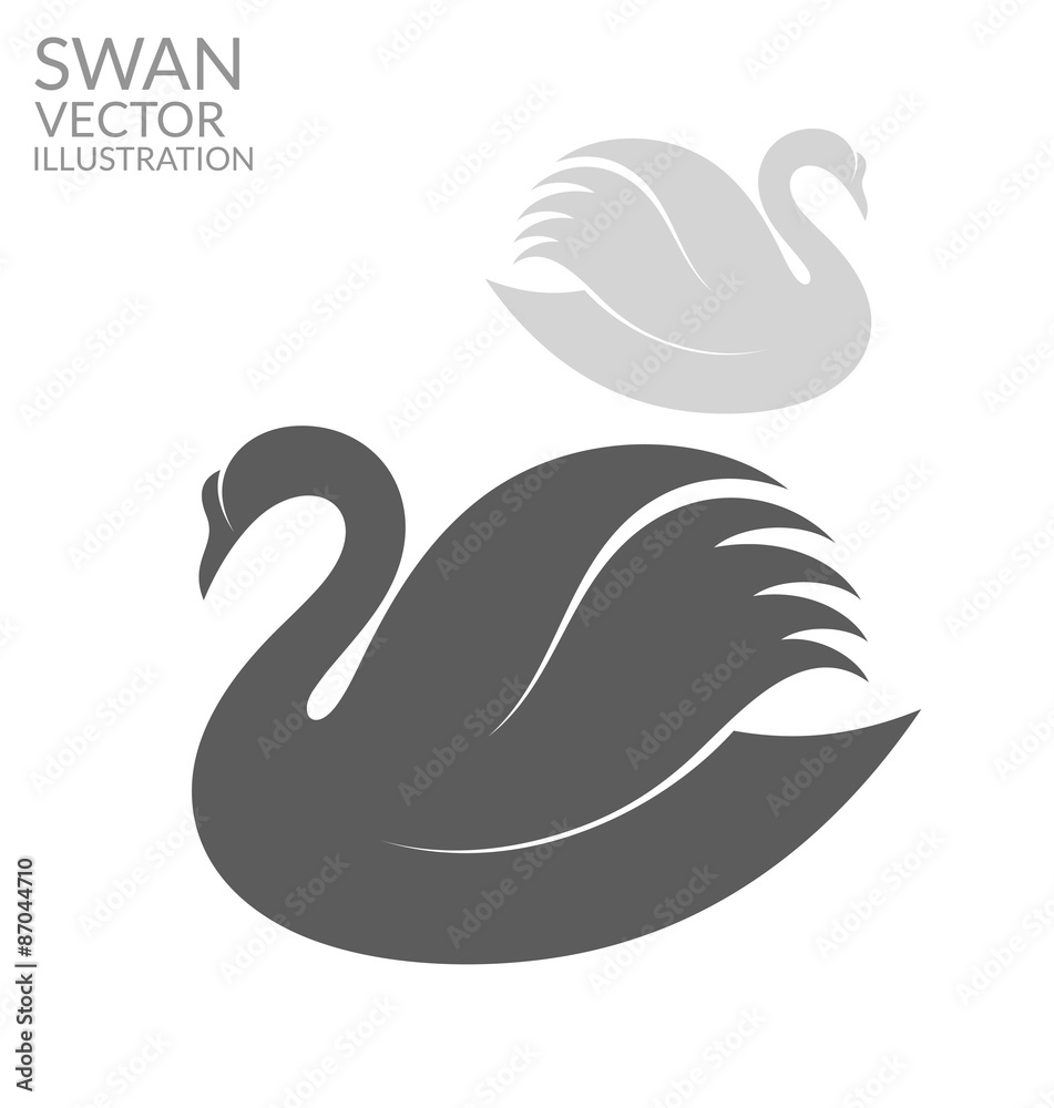 Naklejka premium Swan 