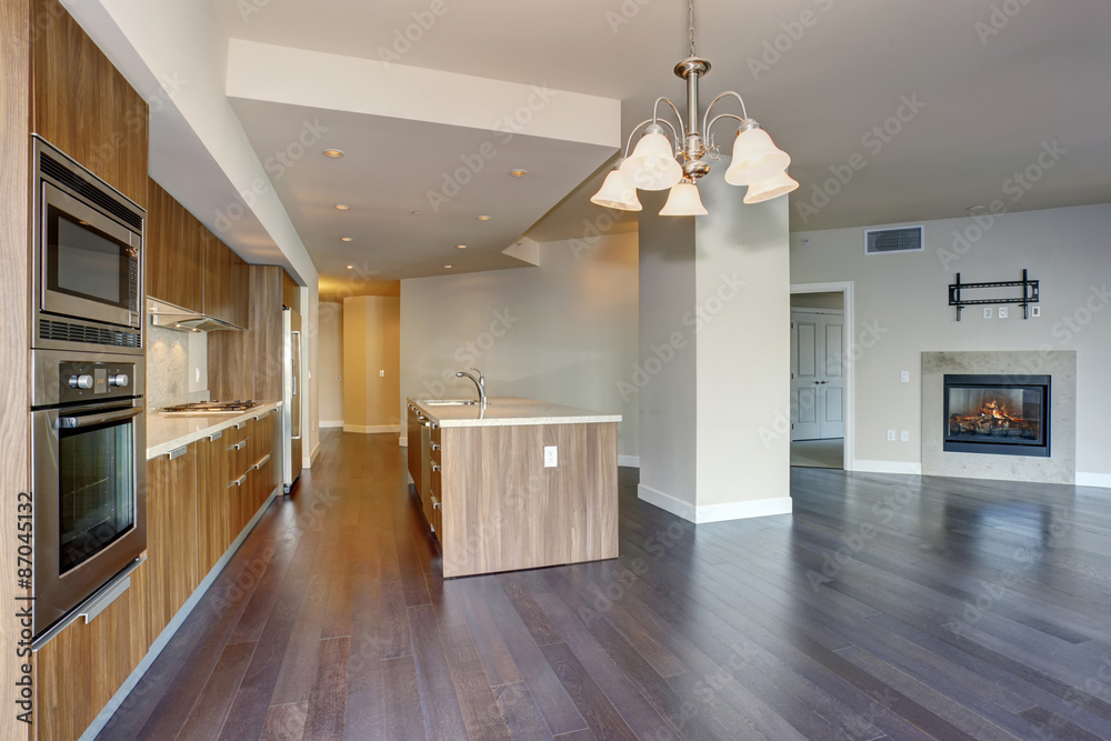 Fototapeta premium perfect modern kitchen with hardwood floor.