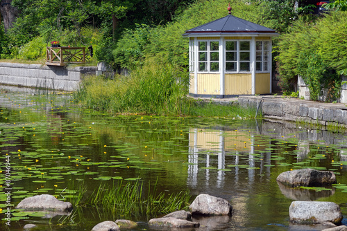 Yellow water lilly at a sum...