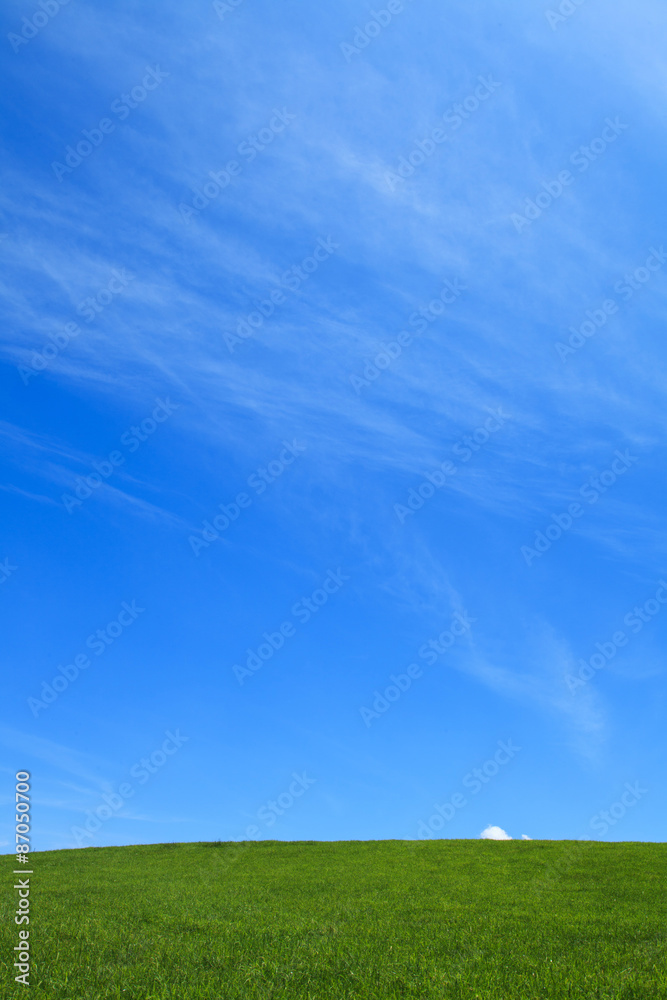 Fototapeta premium 高原の丘
