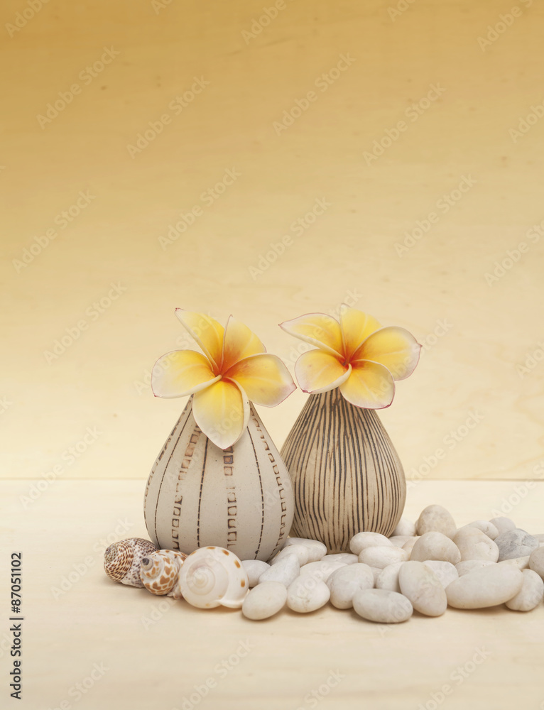 Flower vase spa concept set up background vertical style 