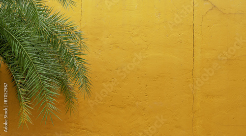 Wallpaper Mural Yellow cement wall and green palm tree background Torontodigital.ca