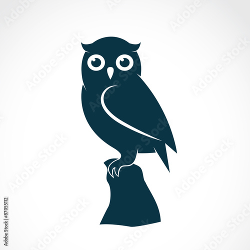 Vector of an owl on white background. Bird. Animals. photo