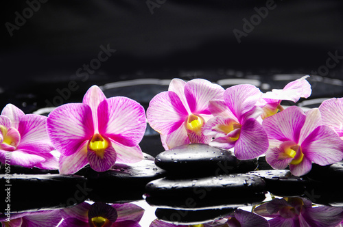 Spa still life with flowering branch of the orchid