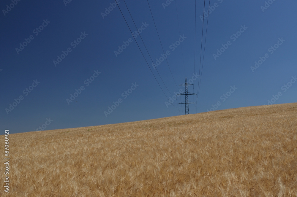 Fototapeta premium High voltage tower in the barley field