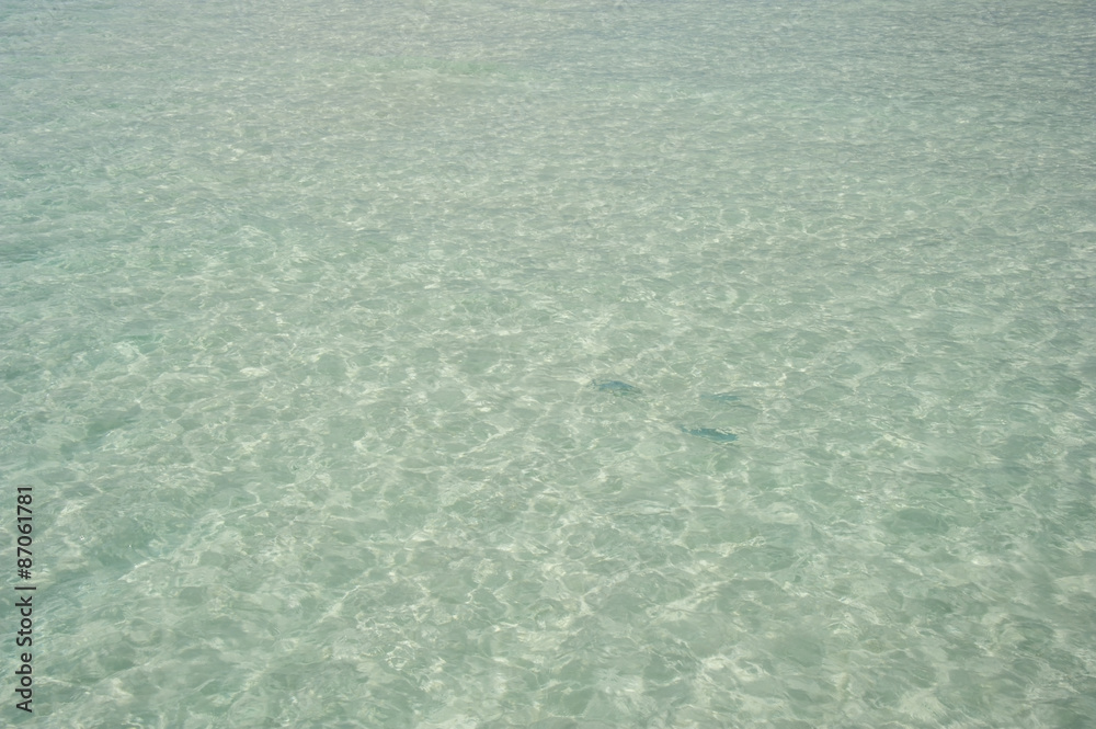 Natural turquoise beach and reflections water at Maldives island. Natural turquoise beach and reflections water at Maldives island.