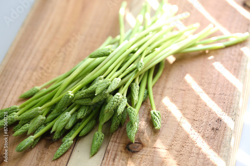 wild asparagus