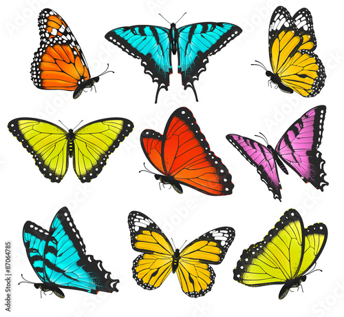 Set of colorful butterflies illustration © yayasya