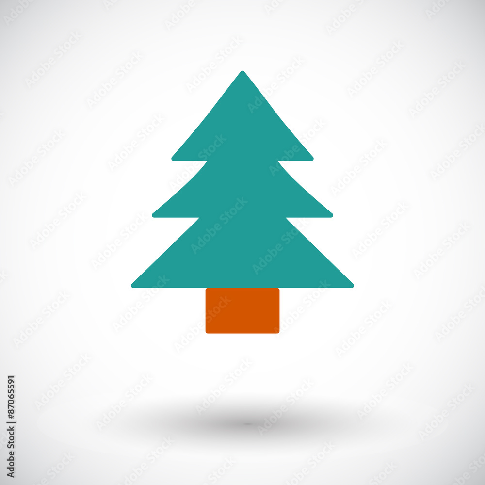 Obraz premium Conifer