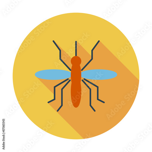 Mosquito