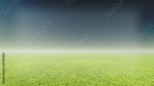 grass and fog background