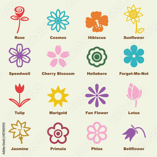 flower elements
