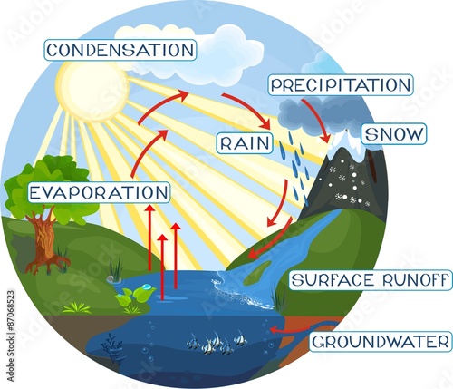 The water cycle