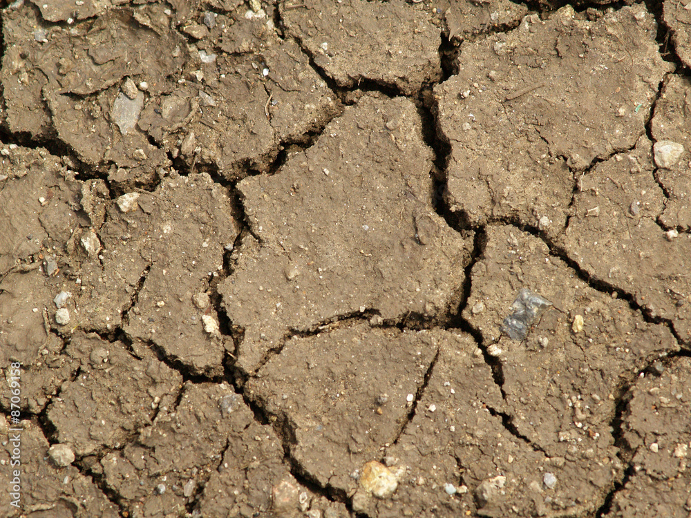 Fototapeta premium Dry earth