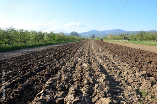 фотографія tractor plowing field in early spring