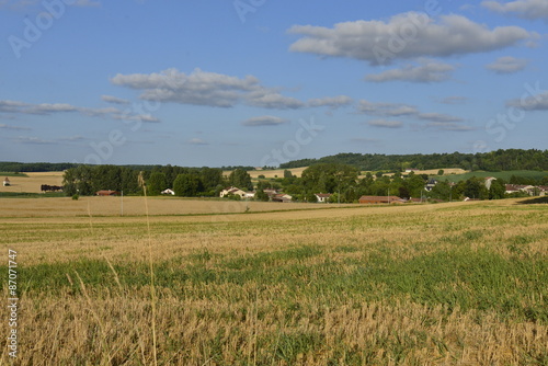 Champs de blé après récolte au Périgord Vert près de Champage