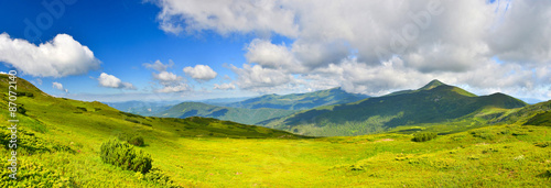Obraz na plátně Alpine meadow