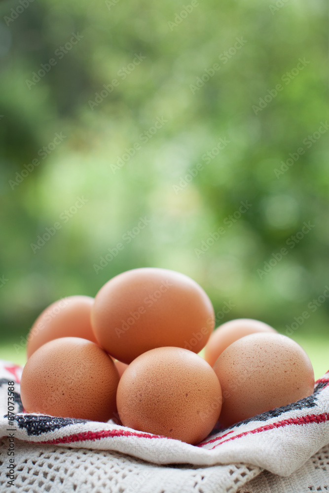 Brown chicken eggs on green background