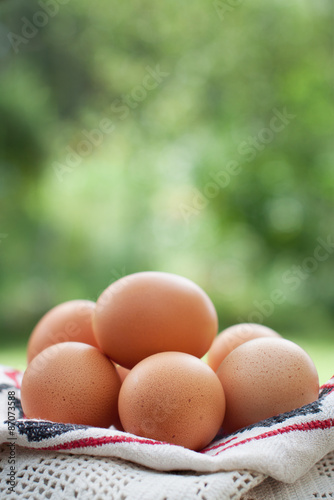 Brown chicken eggs on green background photo