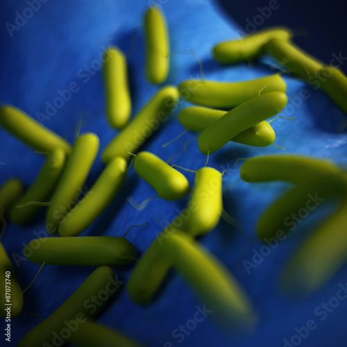 medical bacteria illustration of the Pseudomonas aeruginosa photo