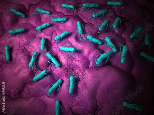 Tableau sur toile medical bacteria illustration of the salmonella