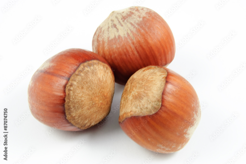 Nahaufnahme von drei Haselnüssen (Corylus avellana) auf weißem Hintergrund - hazelnuts
Nahaufnahme von drei Haselnüssen (Corylus avellana) auf weißem Hintergrund - hazelnuts