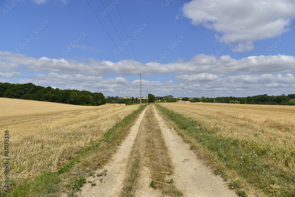 Chemin de campagne entre deux champs de blé après culture 