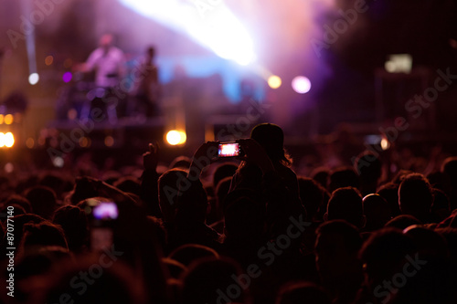 Crowd at concert