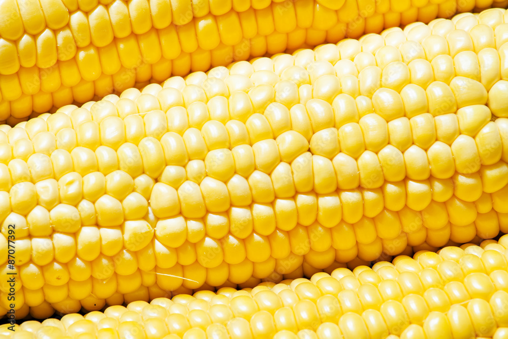 Ripe yellow corn, top view, food background, selective focus