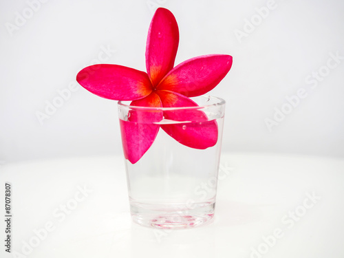 Dark pink frangipani flowers floating in a small glass of water.