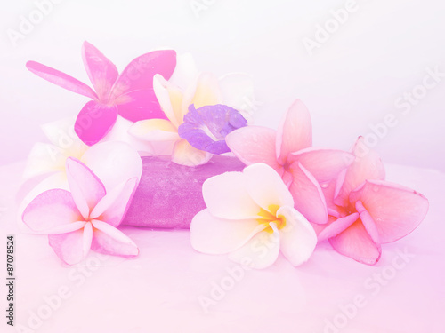 Abstract Plumeria Flower background. beautiful flowers made with colorful filters.