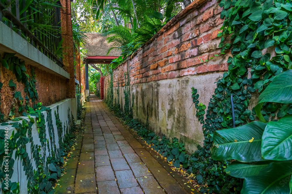 Walkway in a garden
